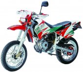 2005 Rieju 50 Spike Racing Castrol Pro photo